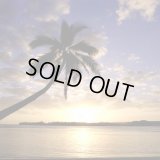 【終売御礼】《期間限定》MEALCRAFTブレンド「サニー・デライト」(150g袋入)