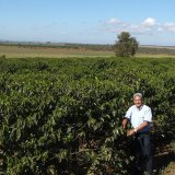 ブラジル 「コンゴーニアス農園 -セラード ブルボン・クラシコ-」(250g袋入)