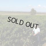 【完売御礼】ブラジル「コンゴーニアス農園 -セラード ブルボン・クラシコ-」(1kg袋入) ※店舗会員様・ネットストア限定