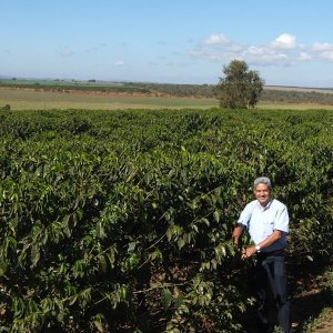 画像1: ブラジル「コンゴーニアス農園 -セラード ブルボン・クラシコ-」(150g袋入)