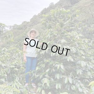 画像1: 【残り僅か】《限定》コロンビア「エル ミラドール農園 -ナチュラル- “ピンクブルボン＆ブルボン”」(250g袋入)