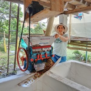 画像3: 《限定》コロンビア「エル ミラドール農園 -ナチュラル- “ピンクブルボン＆ブルボン”」(250g袋入)