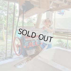 画像3: 【残り僅か】《限定》コロンビア「エル ミラドール農園 -ナチュラル- “ピンクブルボン＆ブルボン”」(250g袋入)