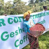 《限定》エチオピア「ケビルゲイシャ農園 “ゲイシャ・ナチュラル G1”」(250g袋入)