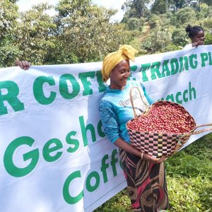 画像1: 《限定》エチオピア「ケビルゲイシャ農園 “ゲイシャ・ナチュラル G1”」(150g袋入)