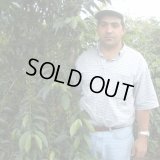 【完売御礼】《限定》グアテマラ「ラ・フェリシダ農園 -アンティグア- “深煎り”」(1kg袋入) ※店舗会員様・ネットストア限定