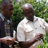 《限定》ケニア「エンデベス農園 “ナチュラル”」(150g袋入)