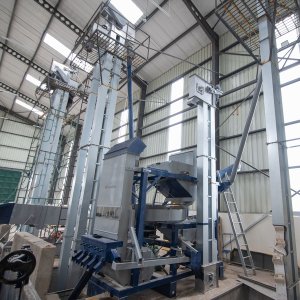 画像4: 《限定》ケニア「エンデベス農園 “ナチュラル”」(500g袋入)