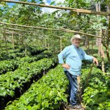 《限定》ニカラグア「リモンシージョ農園 “ジャバニカ・ウォッシュト”」(150g袋入)