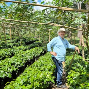 画像1: 《限定》ニカラグア「リモンシージョ農園 “ジャバニカ・ウォッシュト”」(250g袋入)