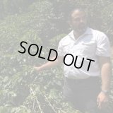 【完売御礼】《限定》エルサルバドル「サンタ・リタ農園 “ブルボン・ナチュラル”」(250g袋入)