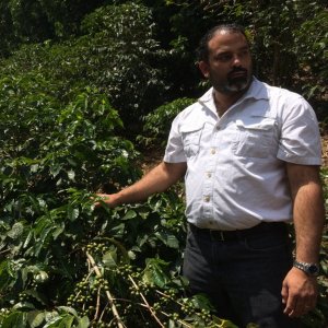 画像1: 《限定》エルサルバドル「サンタ・リタ農園 “ブルボン・ナチュラル”」(250g袋入)