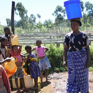 画像1: 《限定》タンザニア「ムリバ -タリメ・ゴールドマイン AA-」(500g袋入)